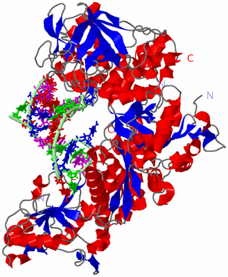 Image Asym./Biol. Unit