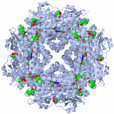 Image Biological Unit 1