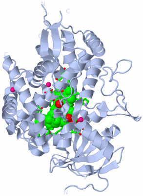 Image Biol. Unit 1 - sites