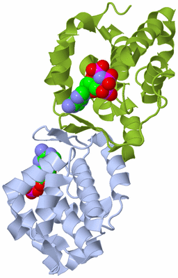 Image Biological Unit 1