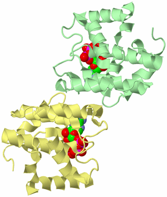 Image Biological Unit 2