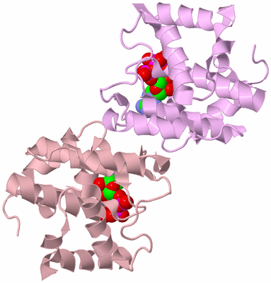 Image Biological Unit 3