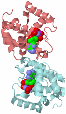 Image Biological Unit 4