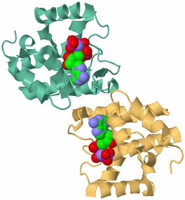 Image Biological Unit 5