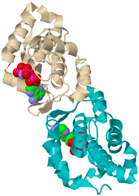 Image Biological Unit 6