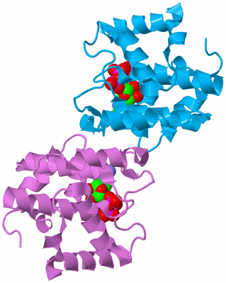 Image Biological Unit 7