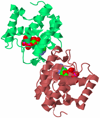 Image Biological Unit 8