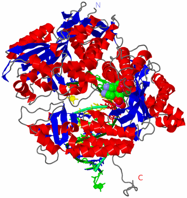 Image Asym./Biol. Unit