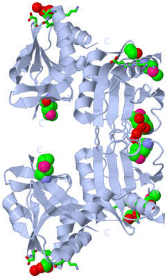 Image Biol. Unit 1 - sites