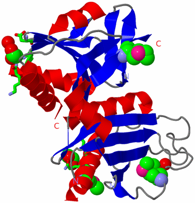 Image Asym. Unit - sites