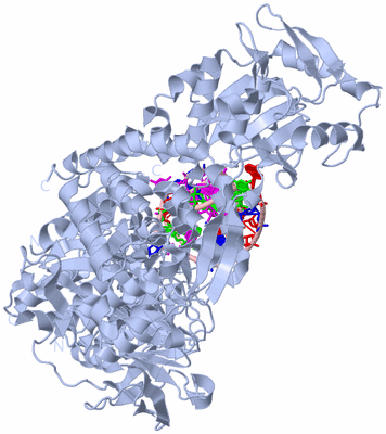 Image Biological Unit 1