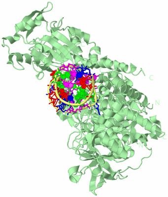 Image Biological Unit 2