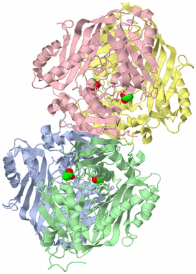 Image Asym./Biol. Unit