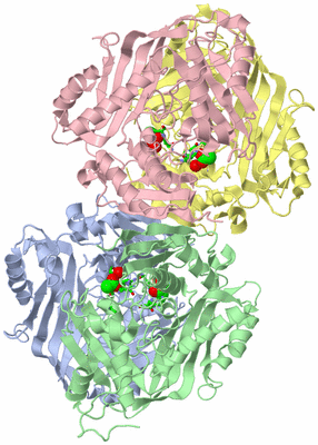 Image Asym./Biol. Unit - sites