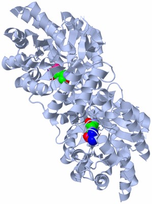 Image Biological Unit 1