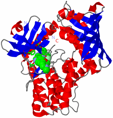 Image Asym. Unit - sites