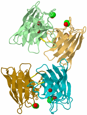 Image Asymmetric Unit