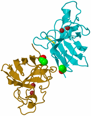 Image Biological Unit 1