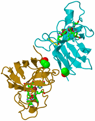 Image Biol. Unit 1 - sites