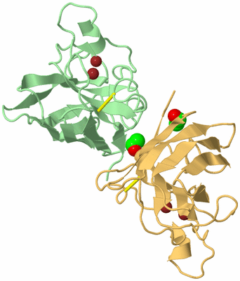 Image Biological Unit 2