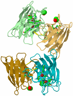 Image Asym. Unit - sites