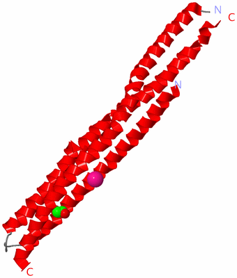 Image Asymmetric Unit