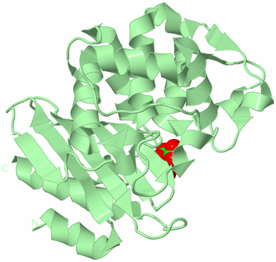 Image Biological Unit 2