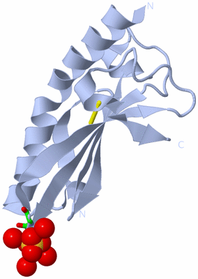 Image Biol. Unit 1 - sites