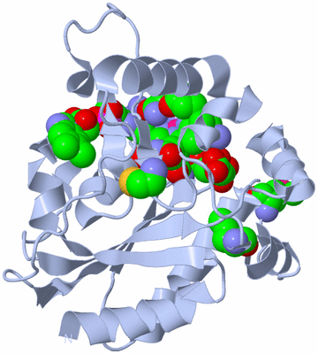 Image Biological Unit 1