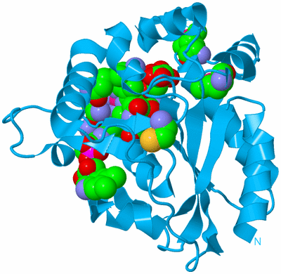 Image Biological Unit 10