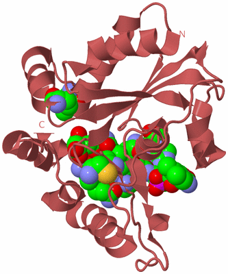 Image Biological Unit 11