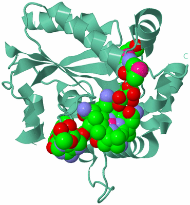 Image Biological Unit 12