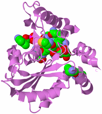 Image Biological Unit 14