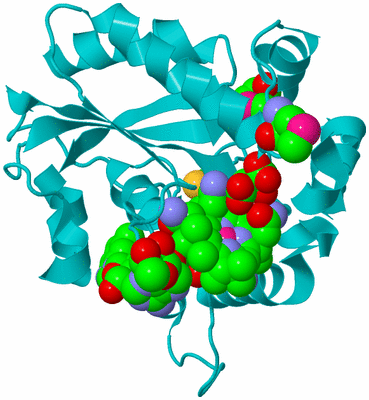 Image Biological Unit 15