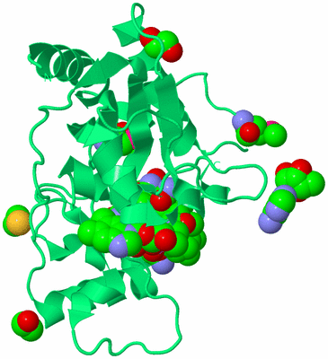 Image Biological Unit 16