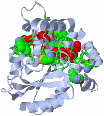 Image Biol. Unit 1 - sites