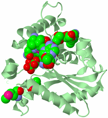 Image Biological Unit 2