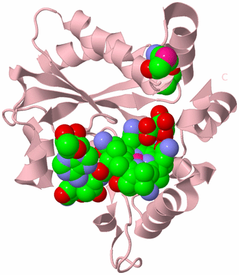 Image Biological Unit 3