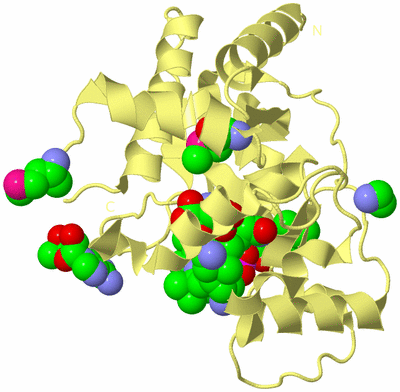 Image Biological Unit 4