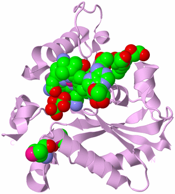 Image Biological Unit 5