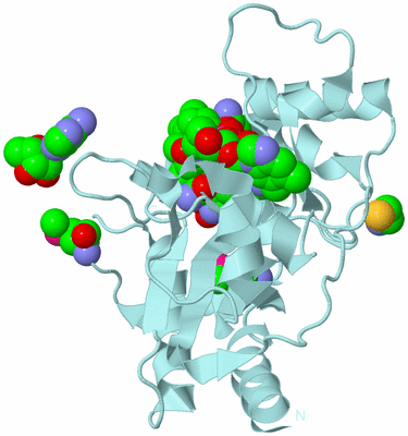 Image Biological Unit 6