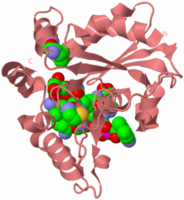 Image Biological Unit 8