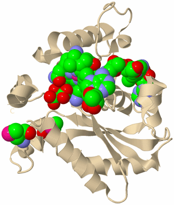 Image Biological Unit 9