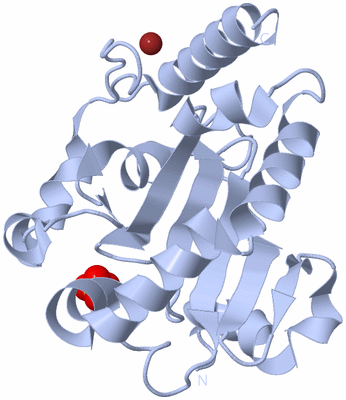 Image Biological Unit 1