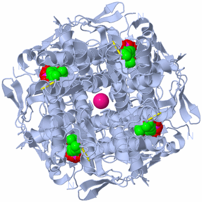 Image Biological Unit 1