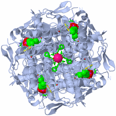 Image Biol. Unit 1 - sites