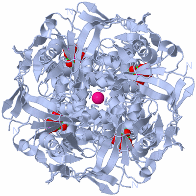 Image Biological Unit 1