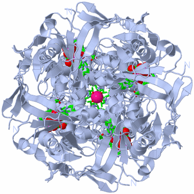 Image Biol. Unit 1 - sites