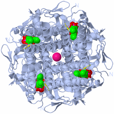 Image Biological Unit 1