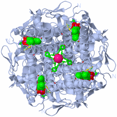 Image Biol. Unit 1 - sites